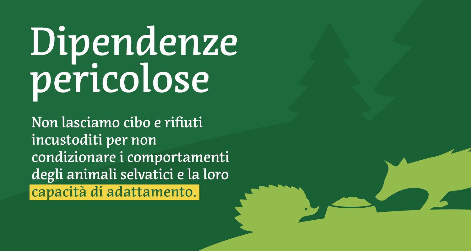 Sito_Tema_7